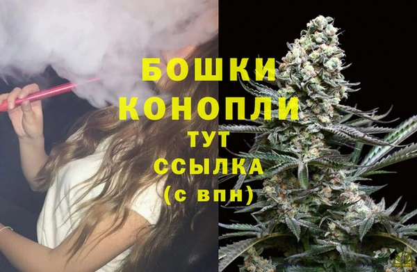 мдпв Заводоуковск