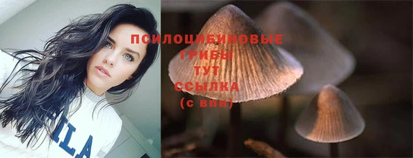 мдпв Заводоуковск