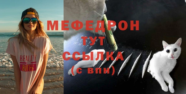 мдпв Заводоуковск