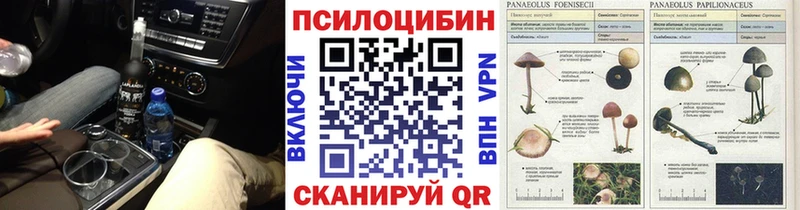 Купить где Дыгулыбгей Псилоцибиновые грибы мухоморы